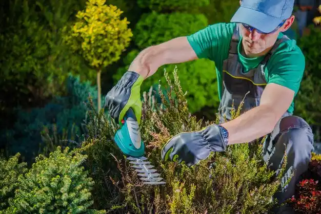landscaping services New Hyde Park